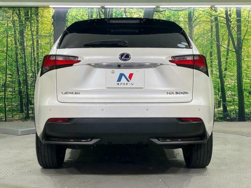 NX
