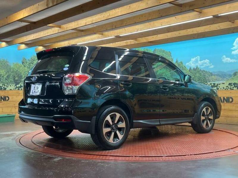 FORESTER