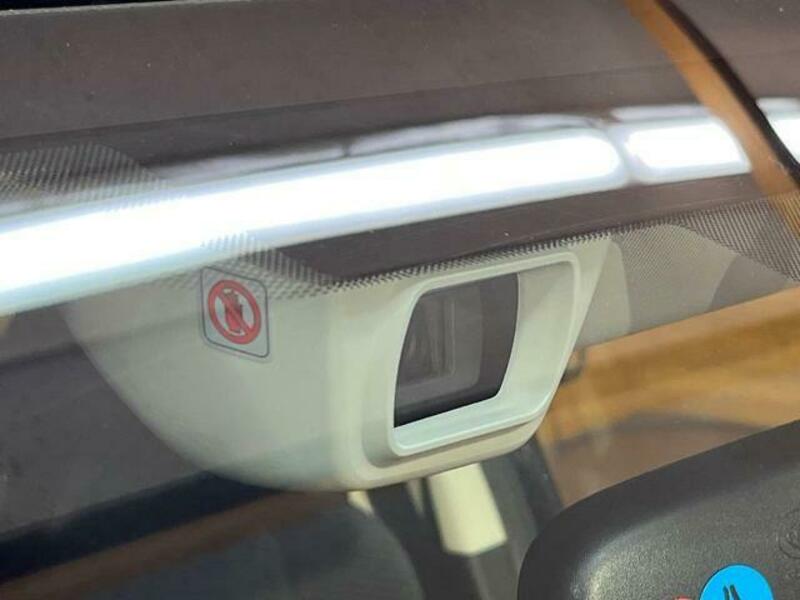 FORESTER-4