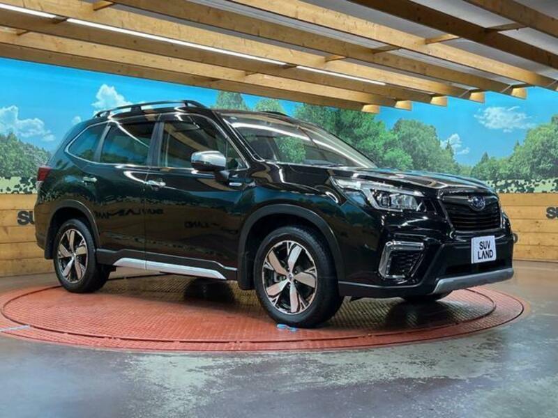 FORESTER-15