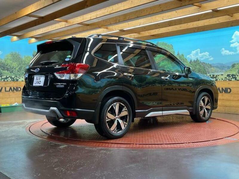 FORESTER-16