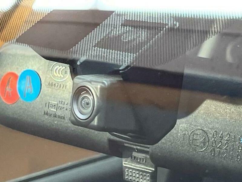 FORESTER-6