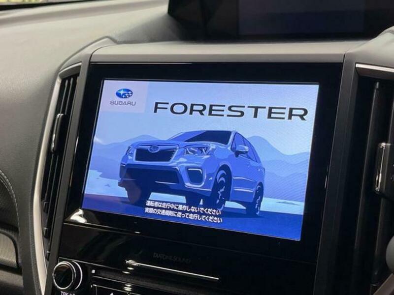 FORESTER-2
