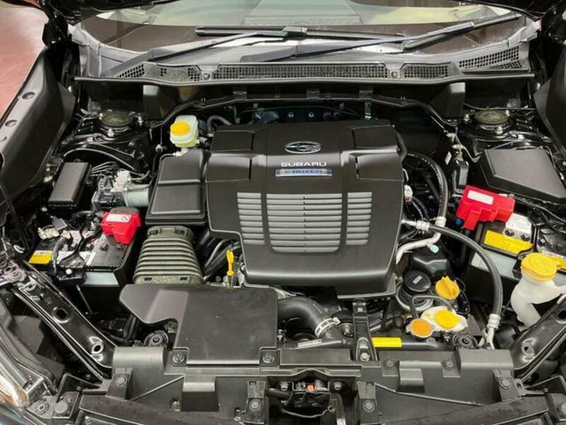 FORESTER-17