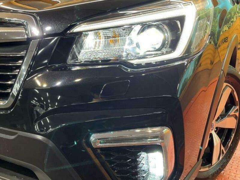 FORESTER-11