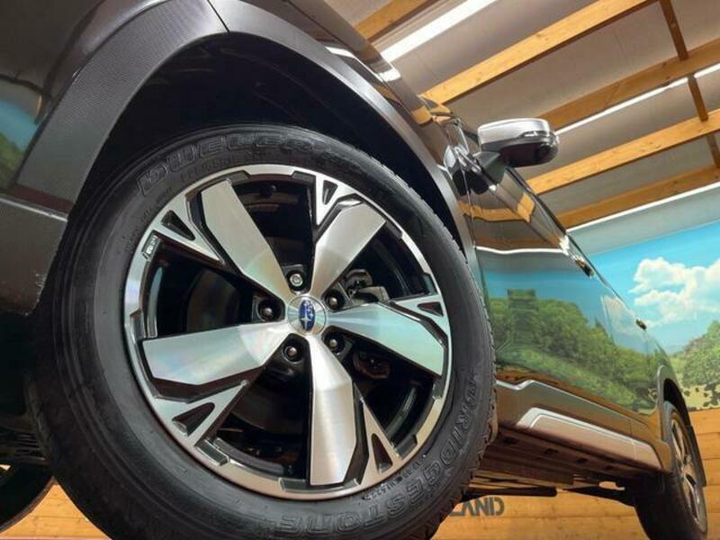 FORESTER-12