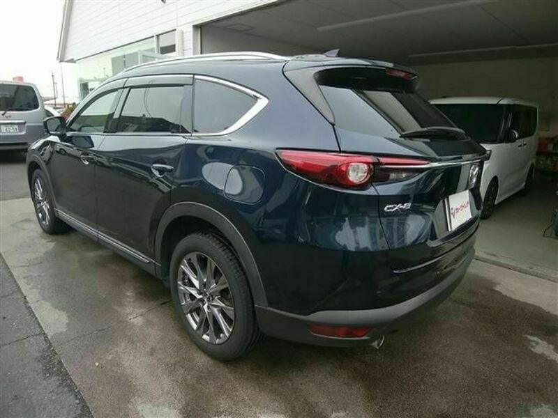 CX-8-6