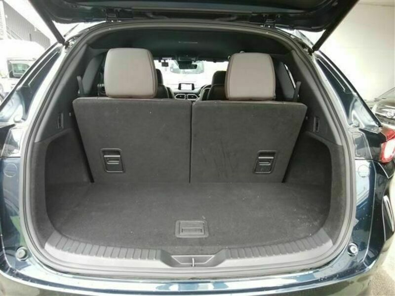 CX-8-17