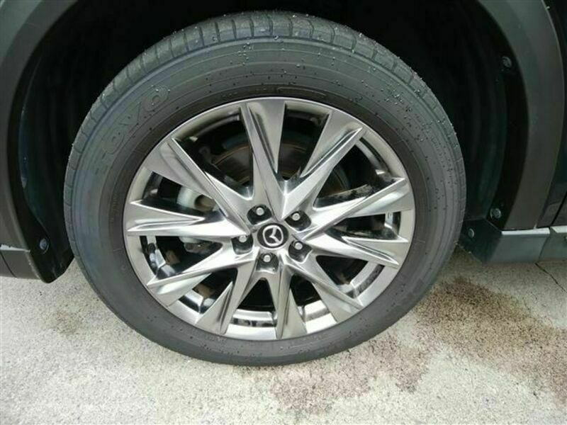 CX-8-19