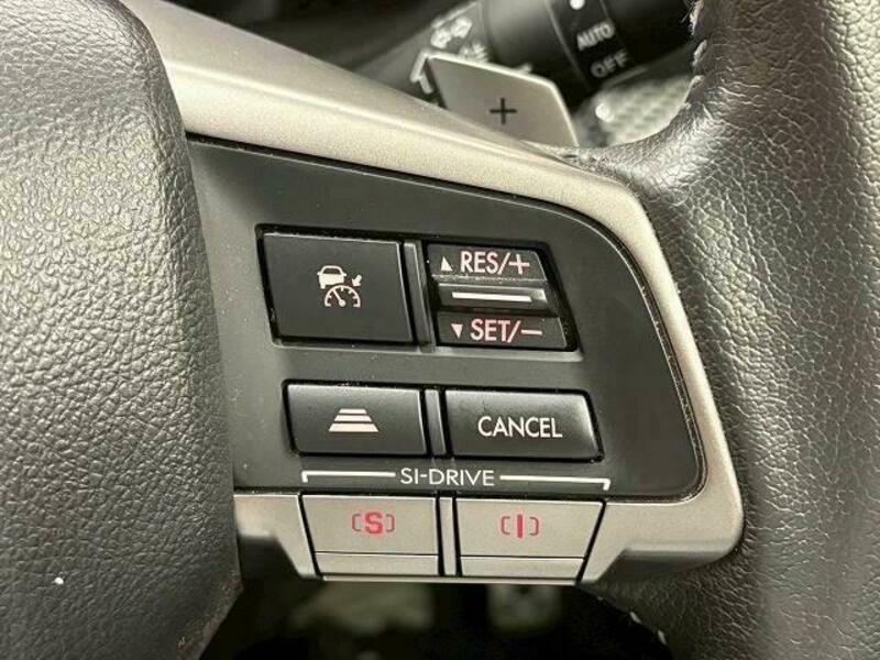FORESTER-6