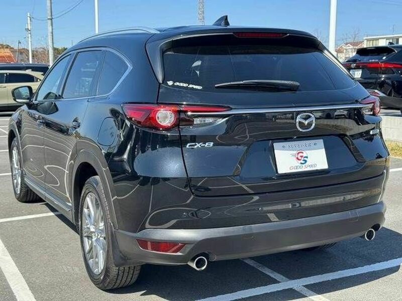 CX-8-16