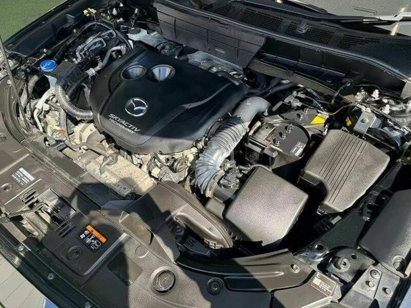 CX-8-17