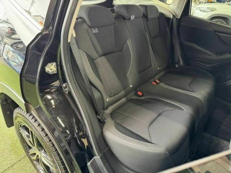 FORESTER-5