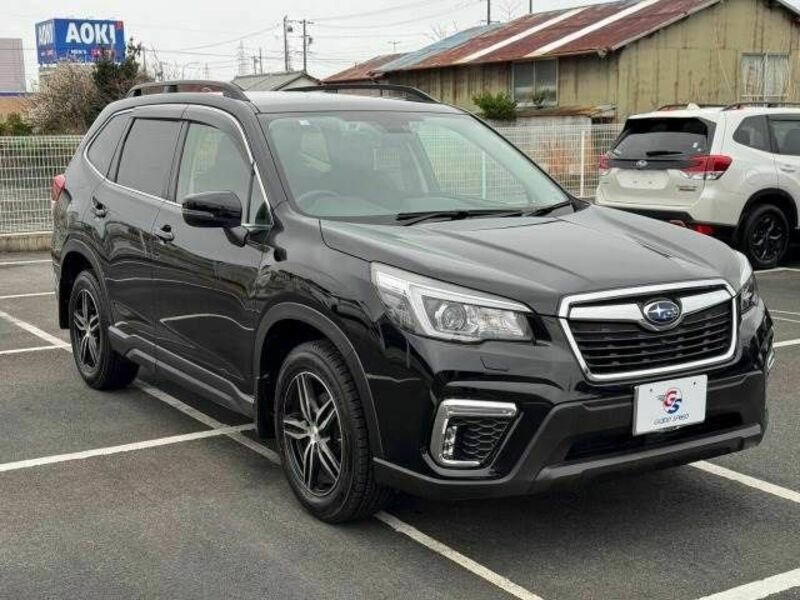 FORESTER-14