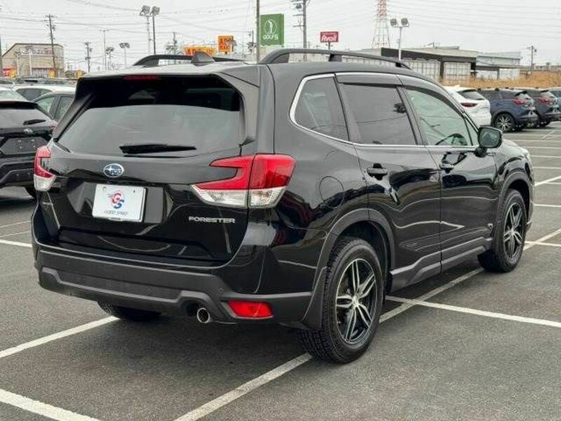 FORESTER-15