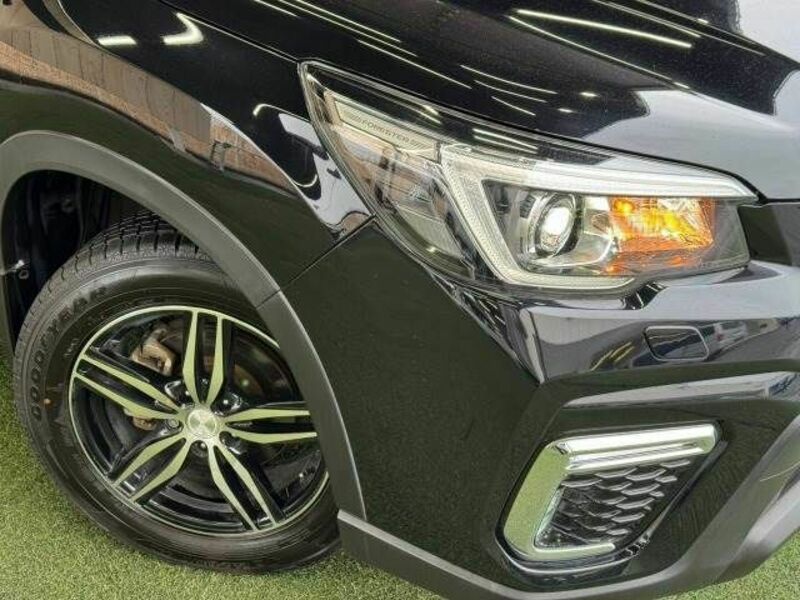 FORESTER-19