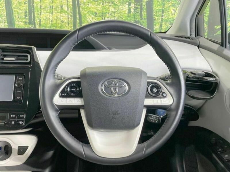 PRIUS-10