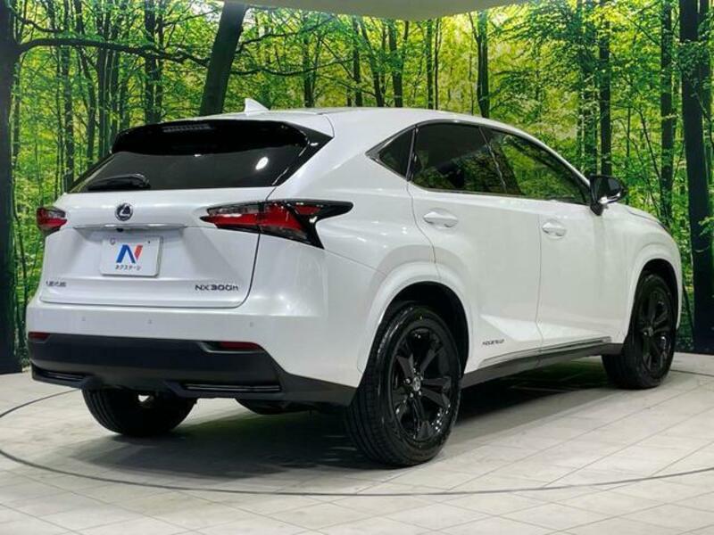 NX