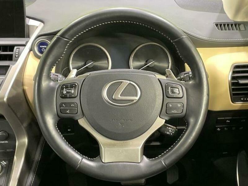 NX