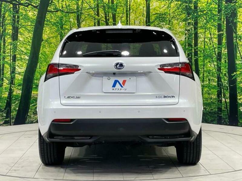 NX