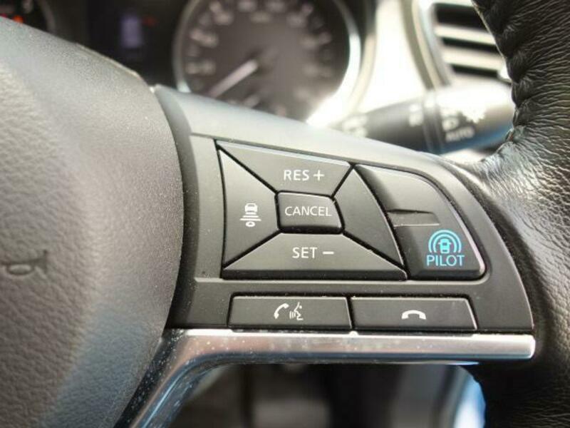 X-TRAIL-19