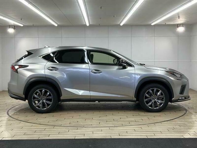 NX