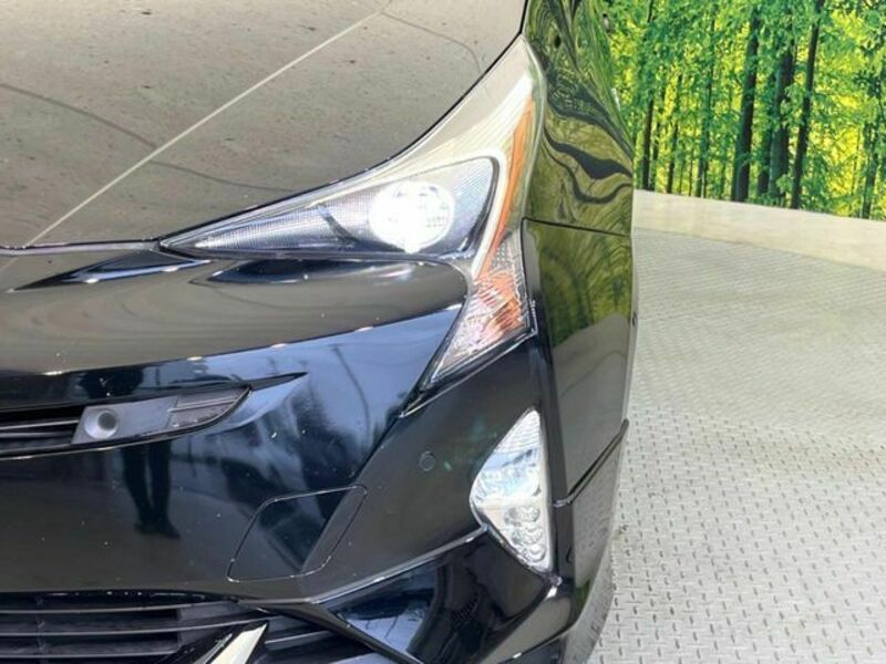PRIUS-11