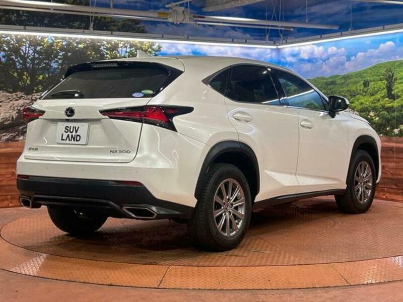 NX