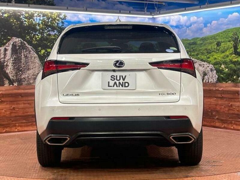 NX