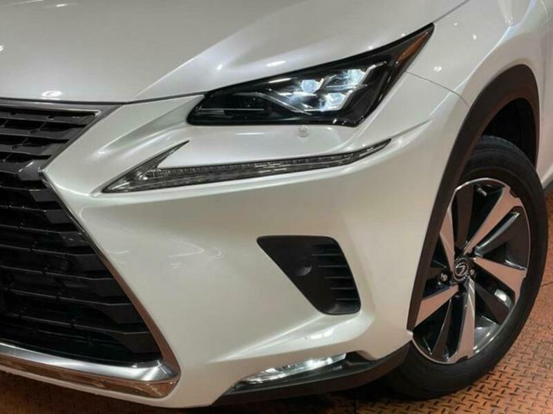 NX