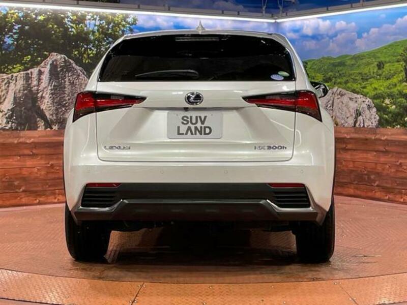 NX