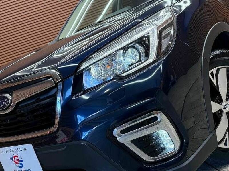 FORESTER-9