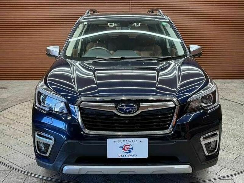 FORESTER-16