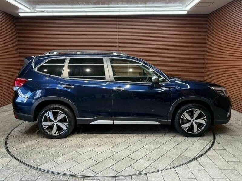FORESTER-17