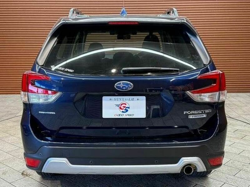 FORESTER-18