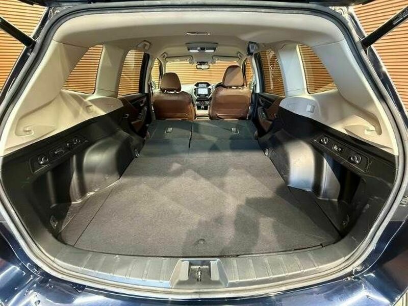 FORESTER-19
