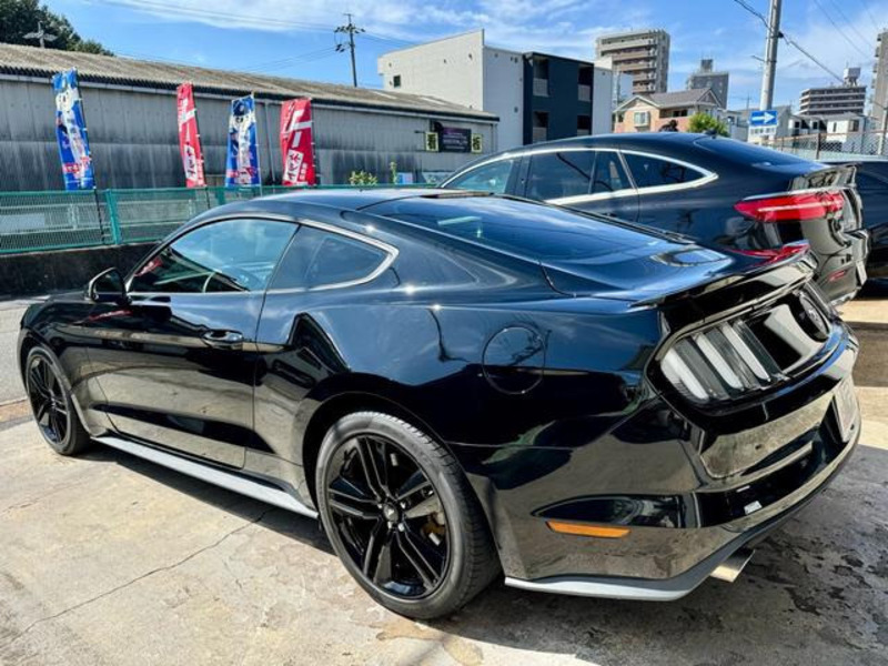 MUSTANG