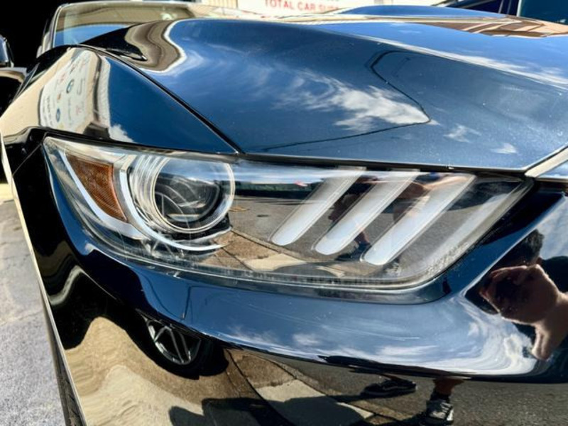 MUSTANG