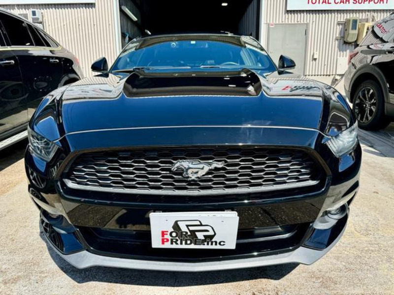MUSTANG