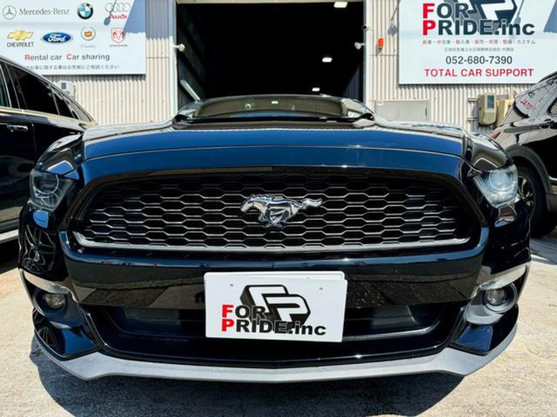MUSTANG