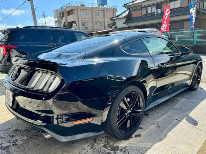 MUSTANG