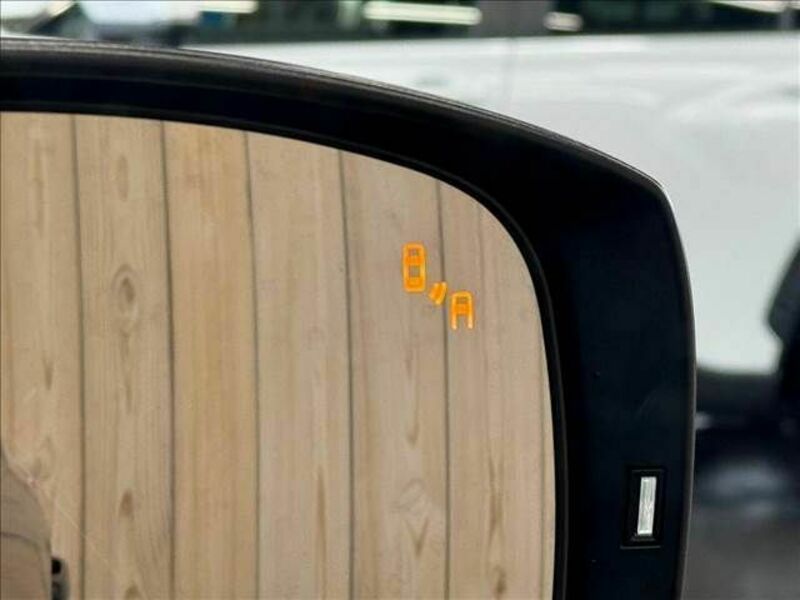 FORESTER-11
