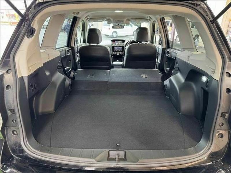 FORESTER-12