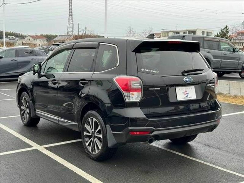 FORESTER-16