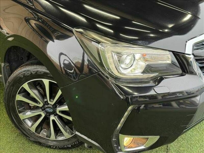 FORESTER-19
