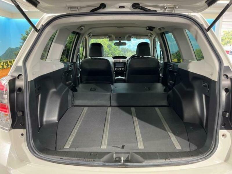 FORESTER-8