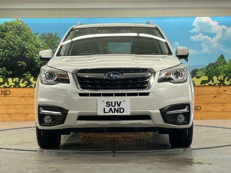FORESTER-12