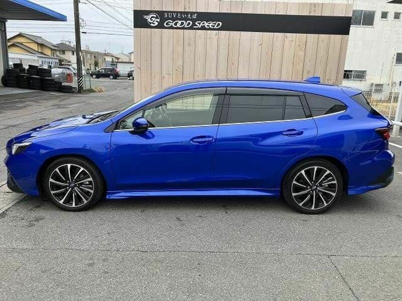 LEVORG