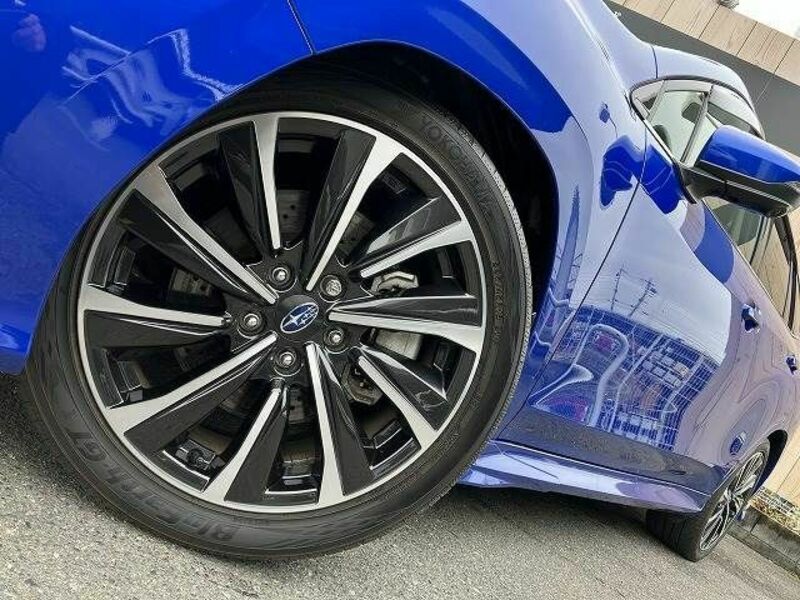 LEVORG