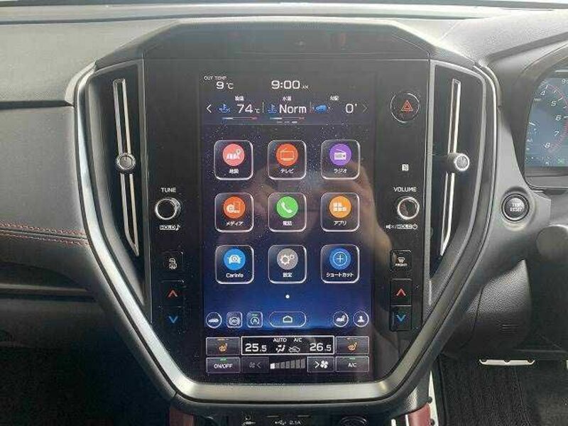 LEVORG